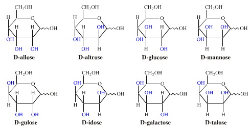 Total synthesis of fine chemicals from sugar