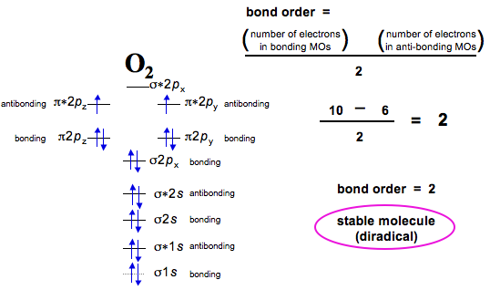 How do you calculate bond order?