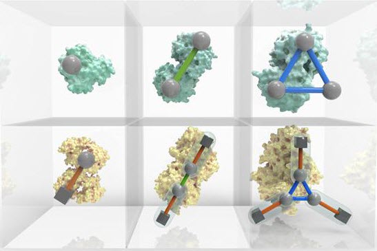 Protein Complexes